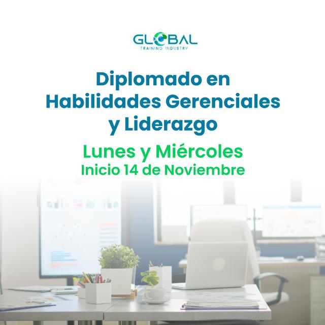 Habilidades Gerenciales y Liderazgo